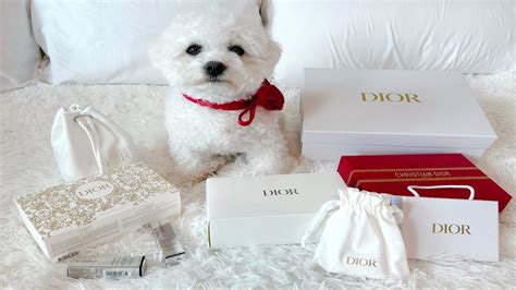 dior platinum gift|Dior silver status gift.